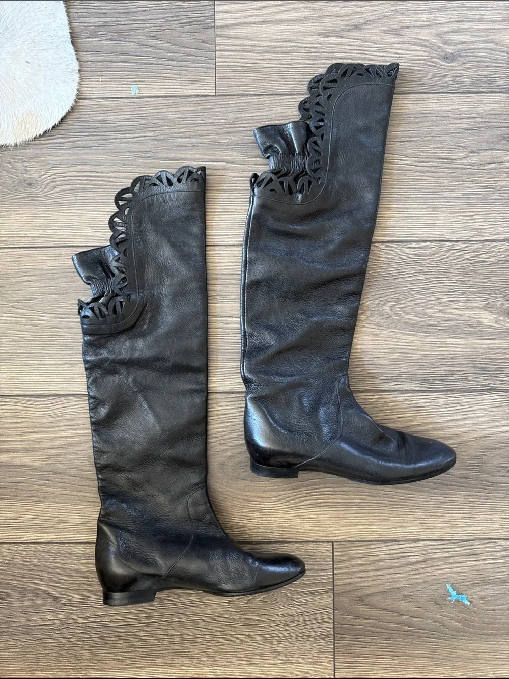 Chloe beautiful authentic